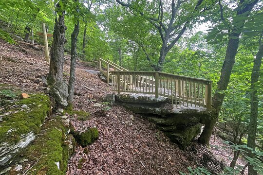 Tour image 10
