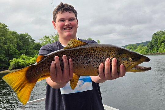 Tour image 6
